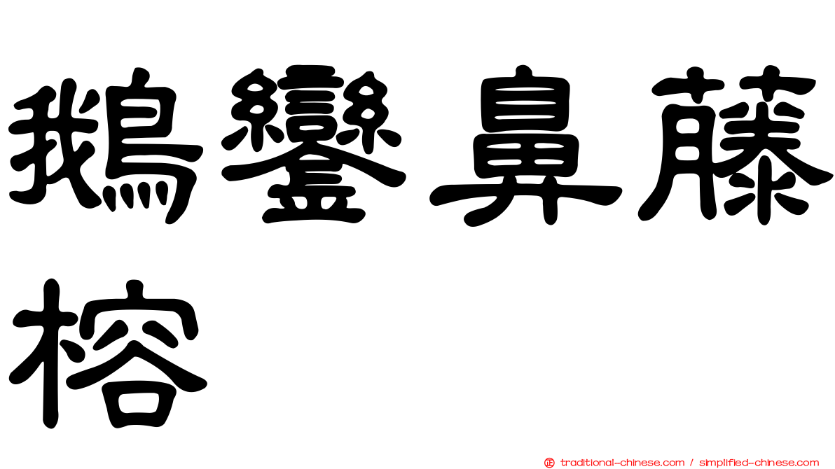 鵝鑾鼻藤榕