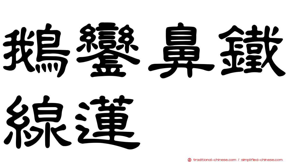 鵝鑾鼻鐵線蓮