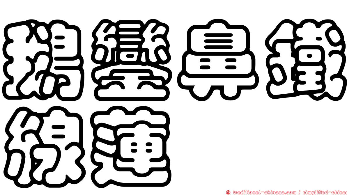 鵝鑾鼻鐵線蓮