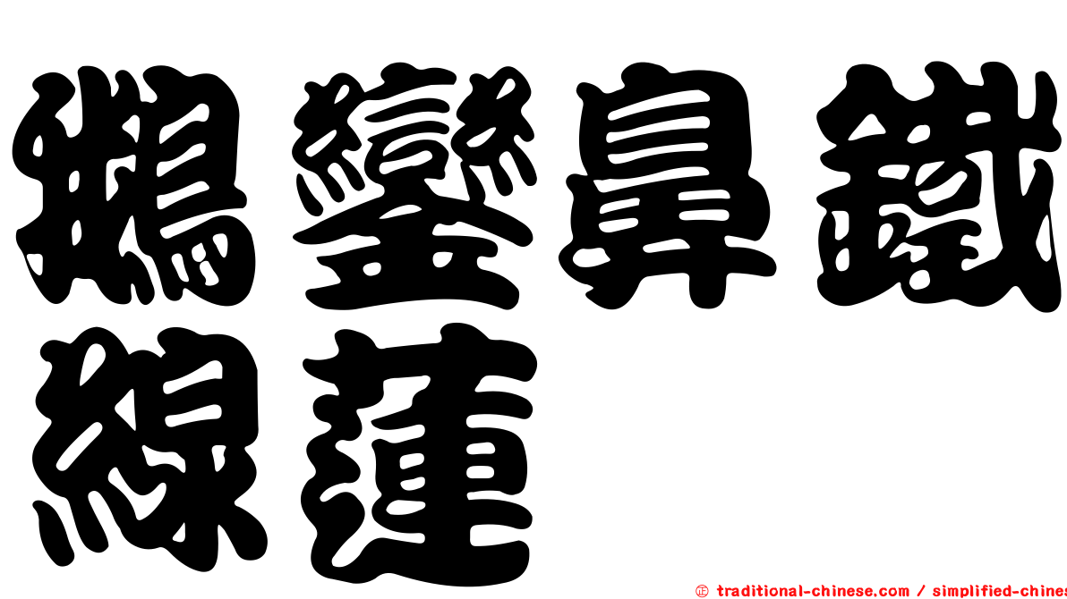 鵝鑾鼻鐵線蓮