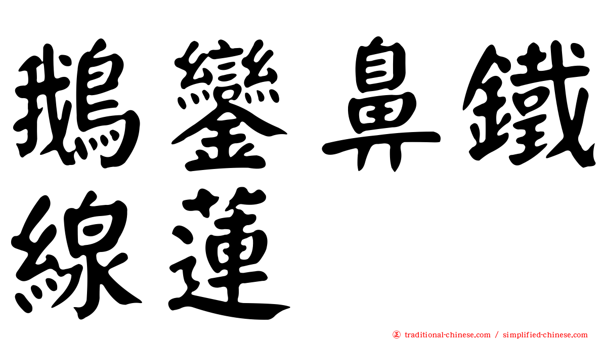 鵝鑾鼻鐵線蓮
