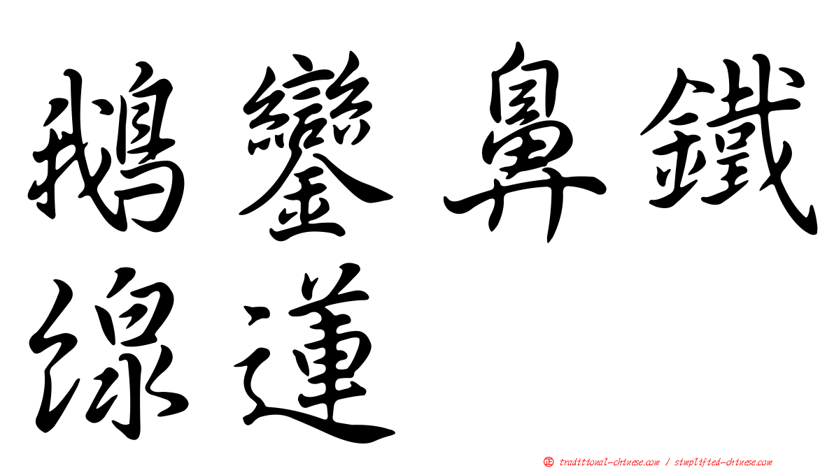 鵝鑾鼻鐵線蓮