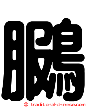 鵩