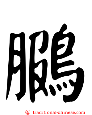鵩