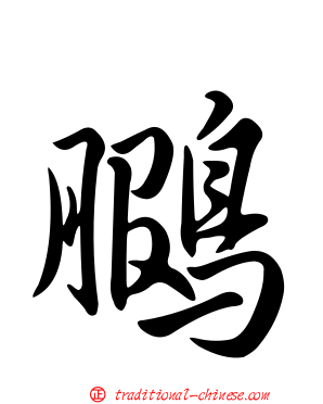 鵩