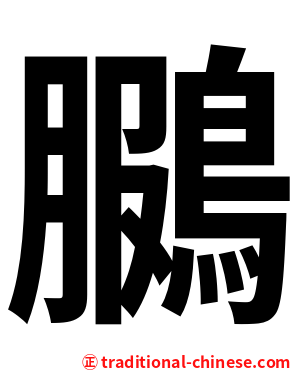 鵩
