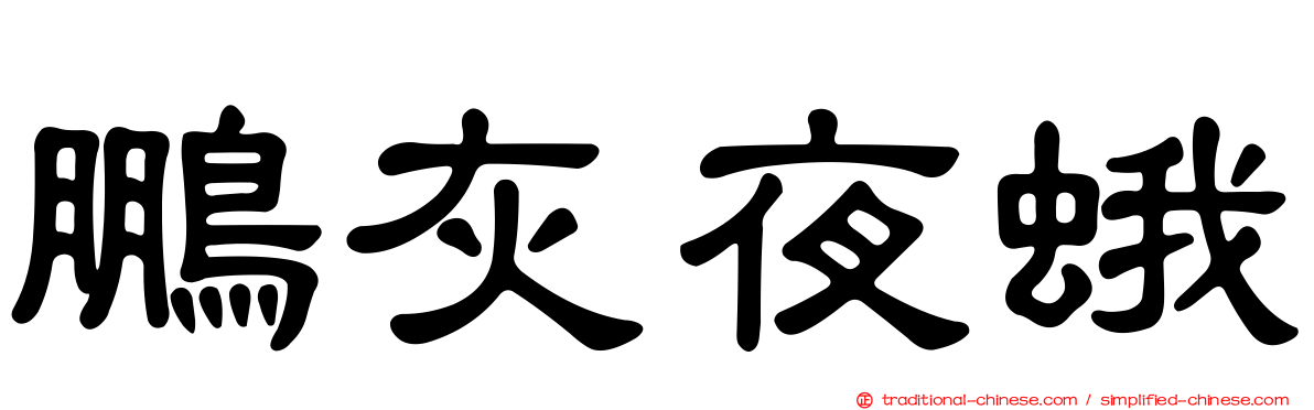 鵬灰夜蛾
