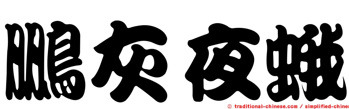 鵬灰夜蛾