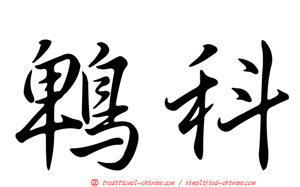 鵯科