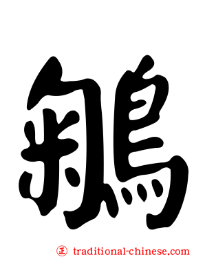 鵴