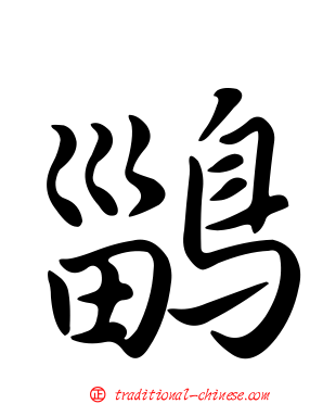 鶅