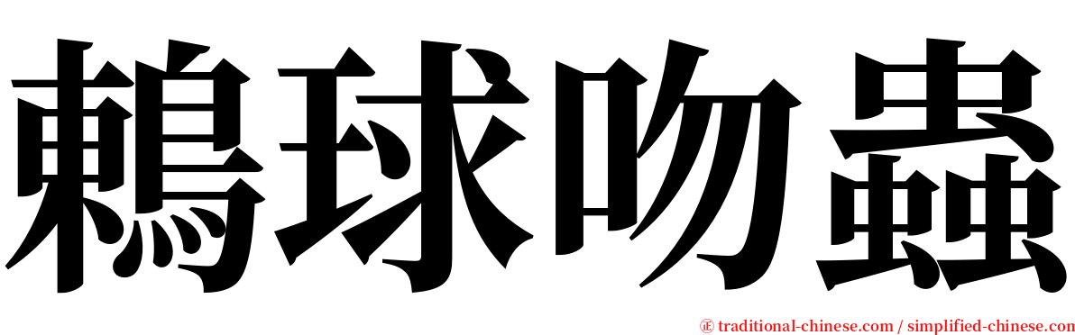 鶇球吻蟲 serif font