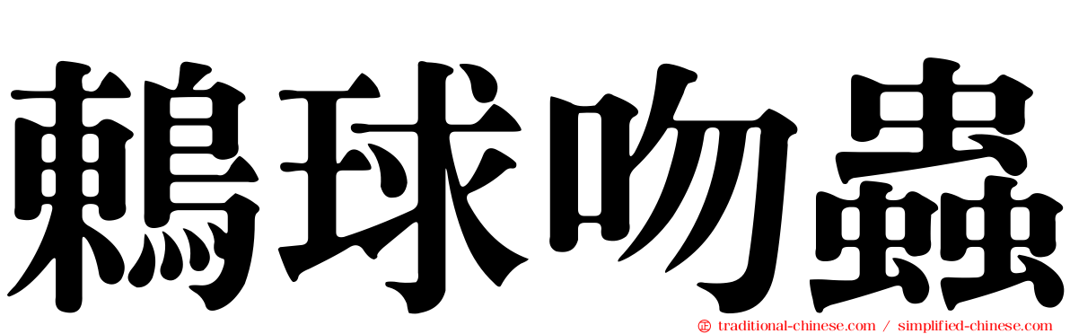 鶇球吻蟲