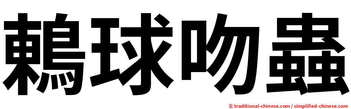 鶇球吻蟲