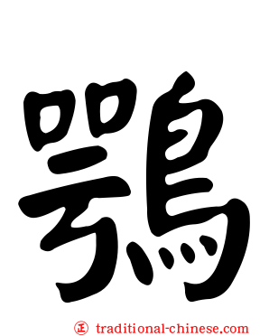 鶚