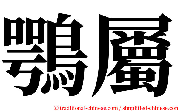 鶚屬 serif font