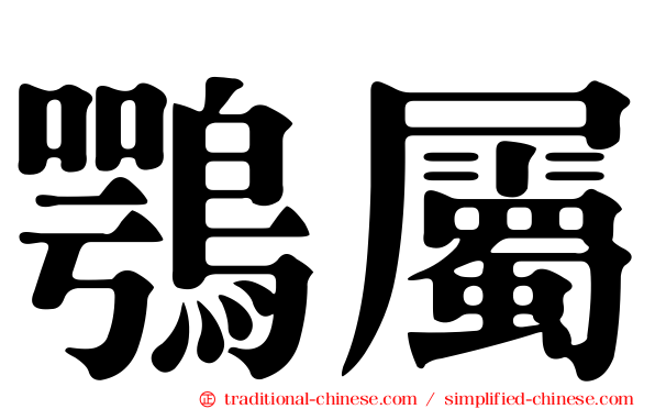 鶚屬