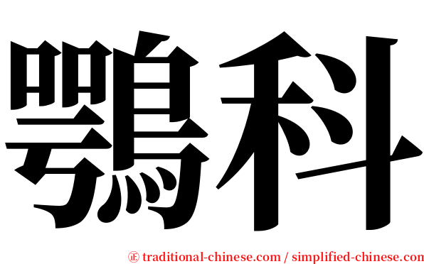 鶚科 serif font