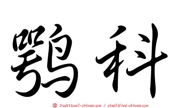 鶚科
