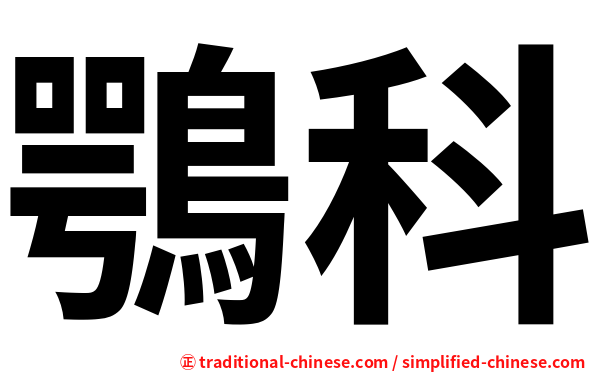 鶚科