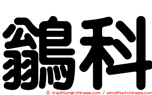 鶲科