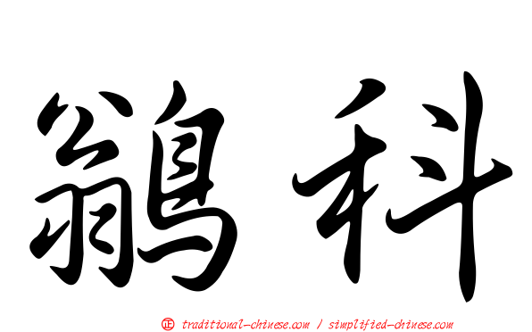 鶲科