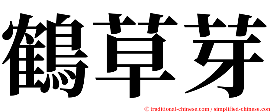 鶴草芽 serif font