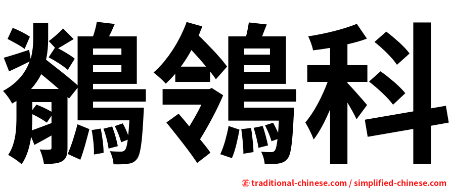 鶺鴒科