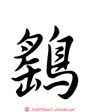 鷂
