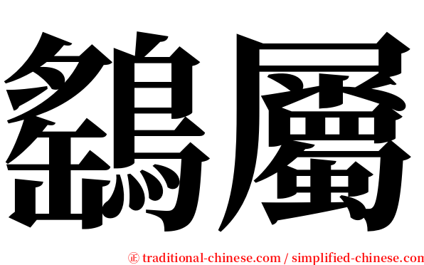 鷂屬 serif font