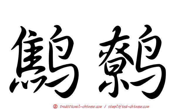 鷦鷯