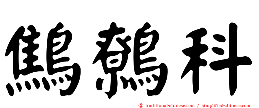 鷦鷯科