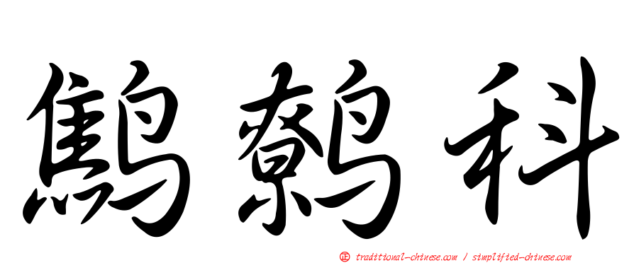 鷦鷯科