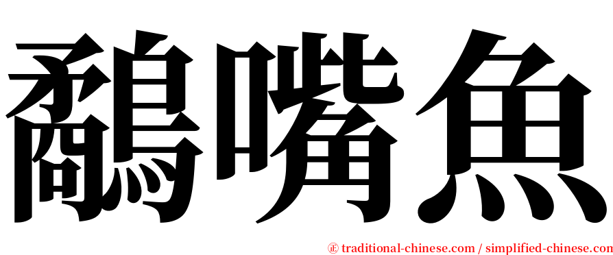 鷸嘴魚 serif font