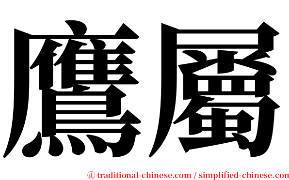 鷹屬 serif font