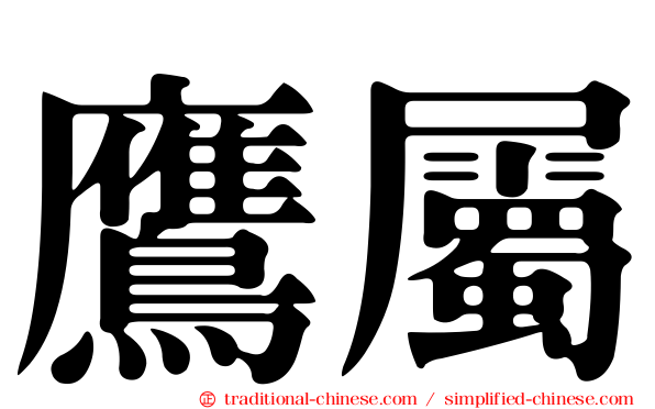 鷹屬