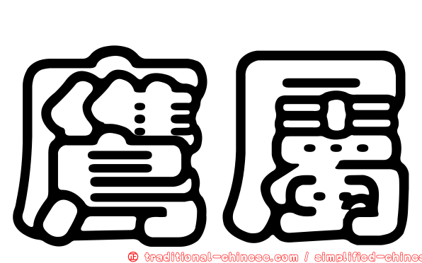 鷹屬