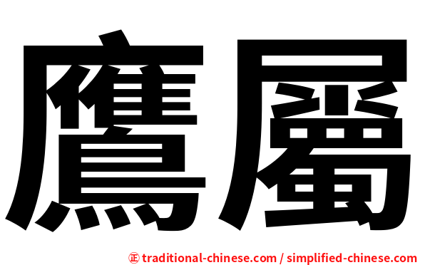 鷹屬