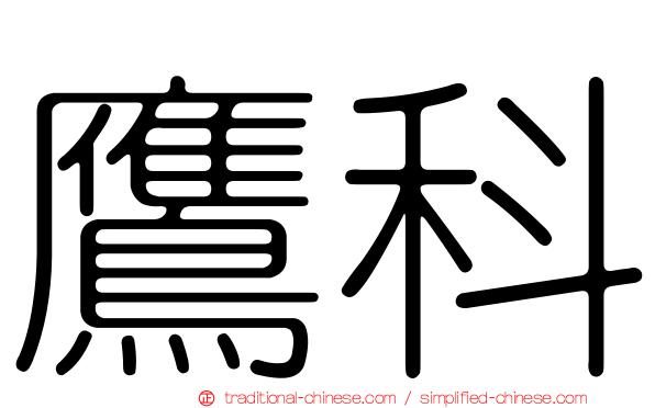 鷹科