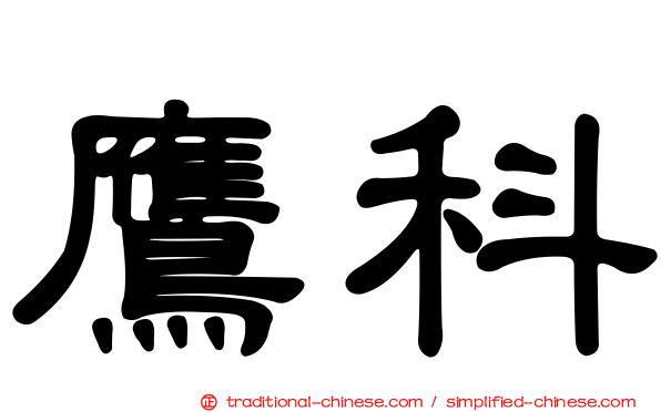 鷹科