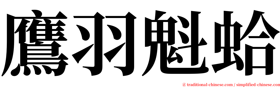 鷹羽魁蛤 serif font