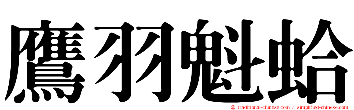 鷹羽魁蛤