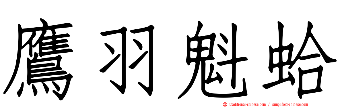 鷹羽魁蛤