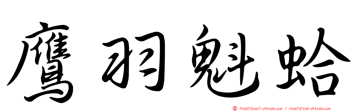鷹羽魁蛤