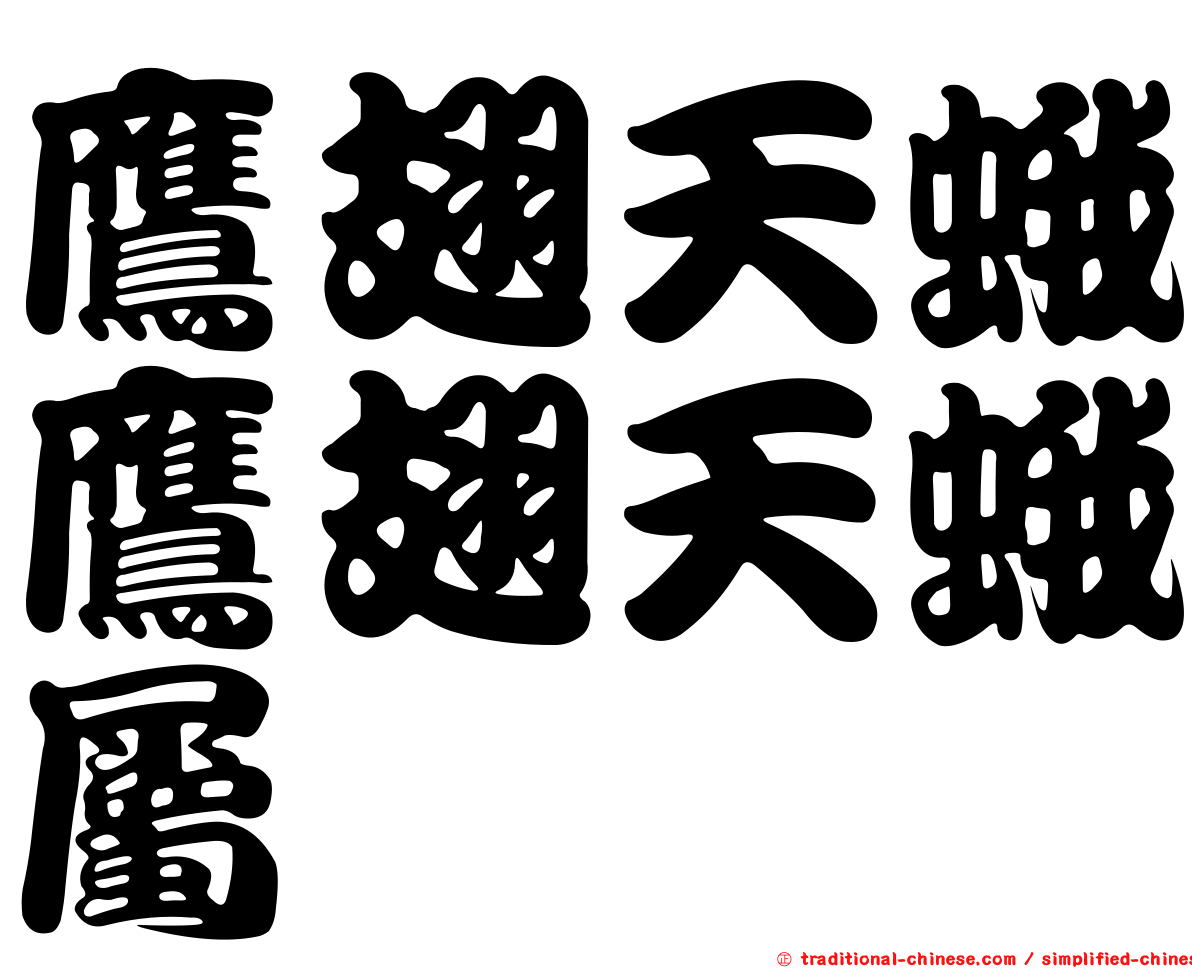 鷹翅天蛾鷹翅天蛾屬