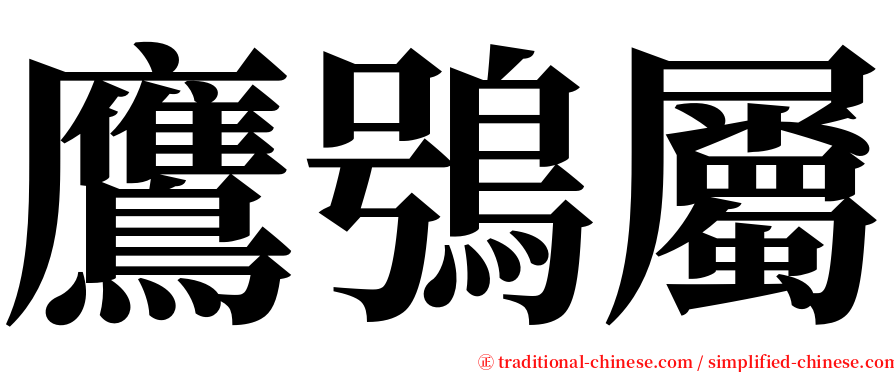 鷹鴞屬 serif font