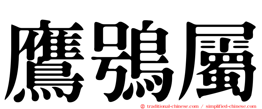 鷹鴞屬