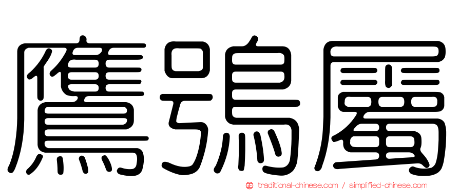 鷹鴞屬