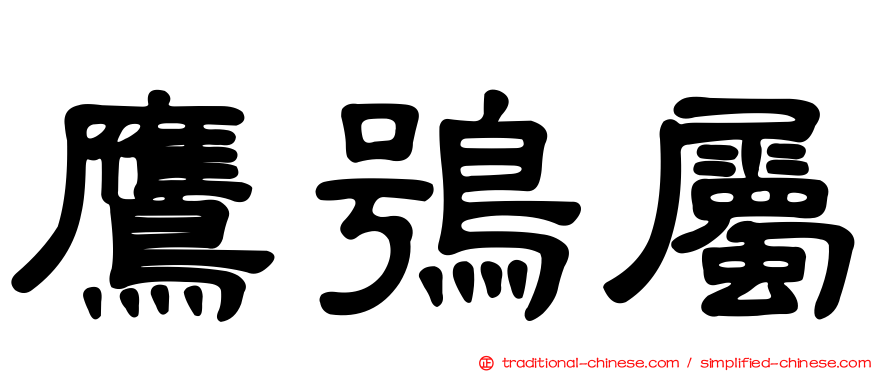 鷹鴞屬
