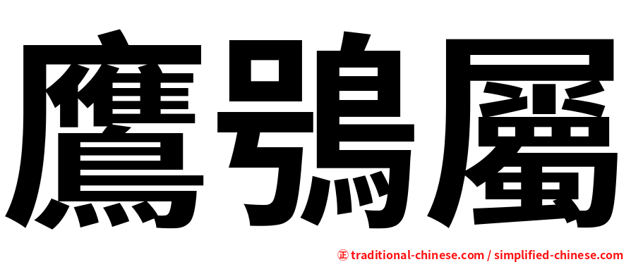 鷹鴞屬